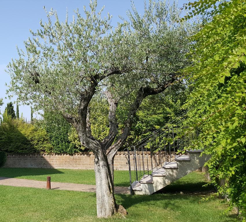 Corte La Guarnigione Valeggio sul Mincio Esterno foto
